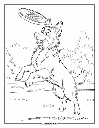 Coloriage de berger allemand pour enfants : Un chien qui chasse le frisbee saute haut dans un champ herbeux