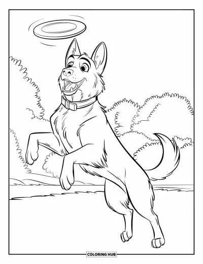 Coloriage de berger allemand pour enfants : Un berger allemand saute pour attraper un frisbee volant