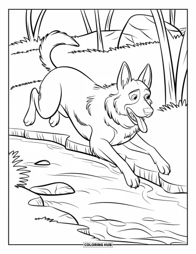 Coloriage de berger allemand pour enfants : Un saut en plein air au-dessus d’un ruisseau calme avec les pattes tendues