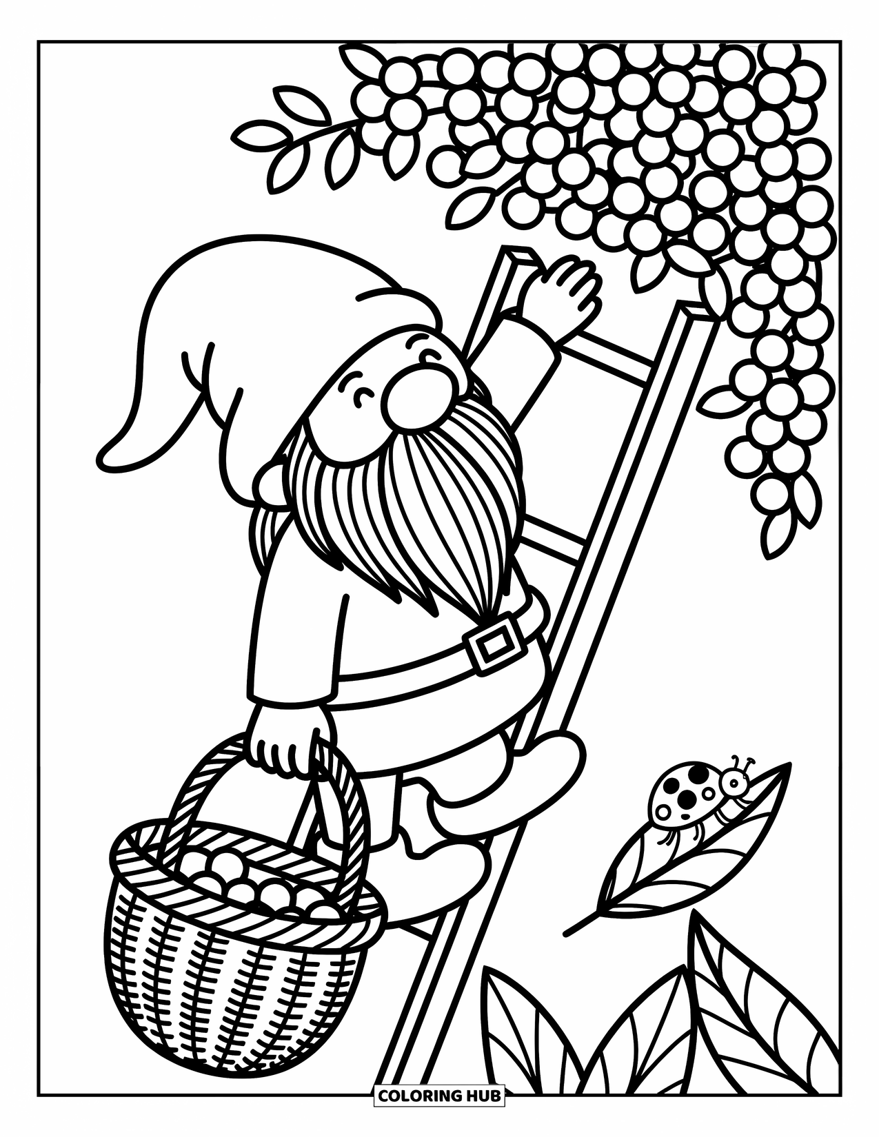 Gnome Coloring Page for Adults: A gnome gathering berries with a basket while a ladybug crawls nearby