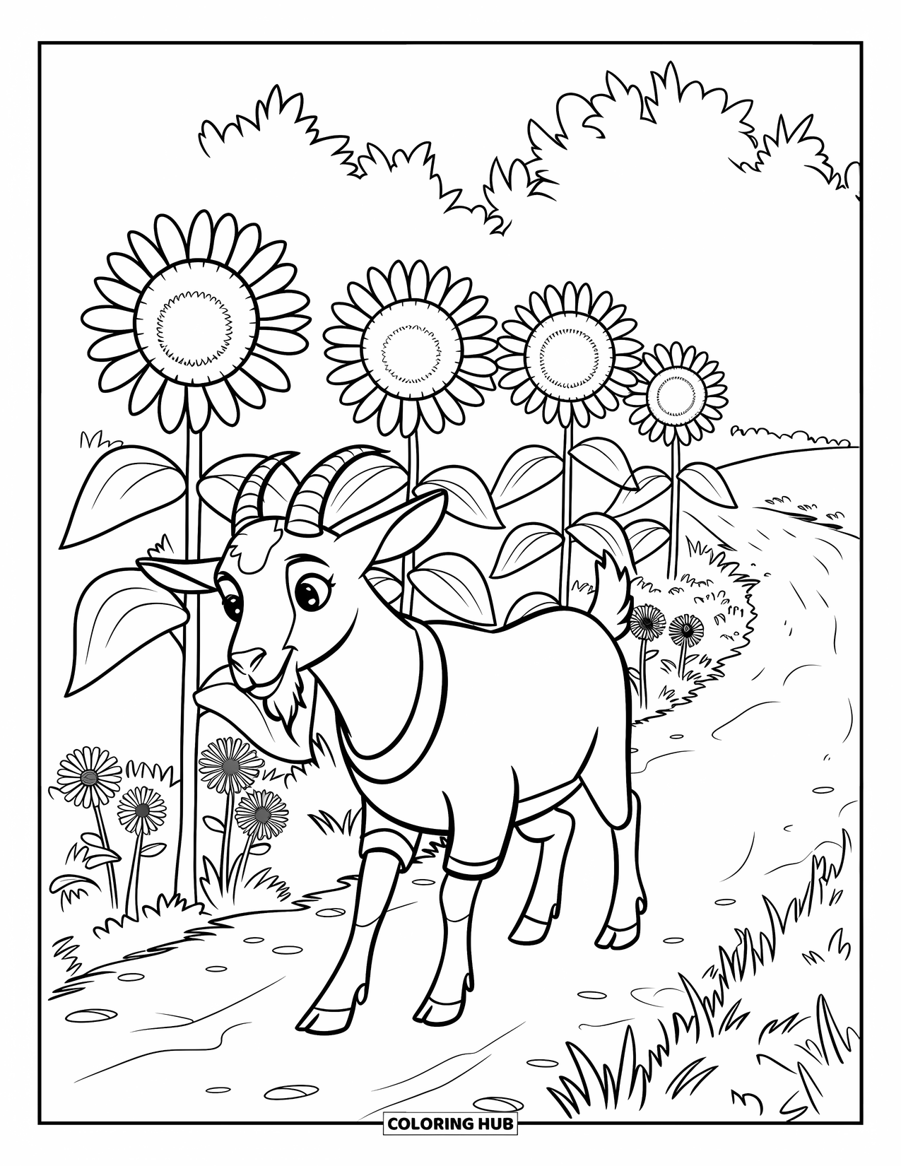 Desenho de Cabra para Colorir para Crianças: Uma cabra de suéter passa por girassóis e trechos de grama