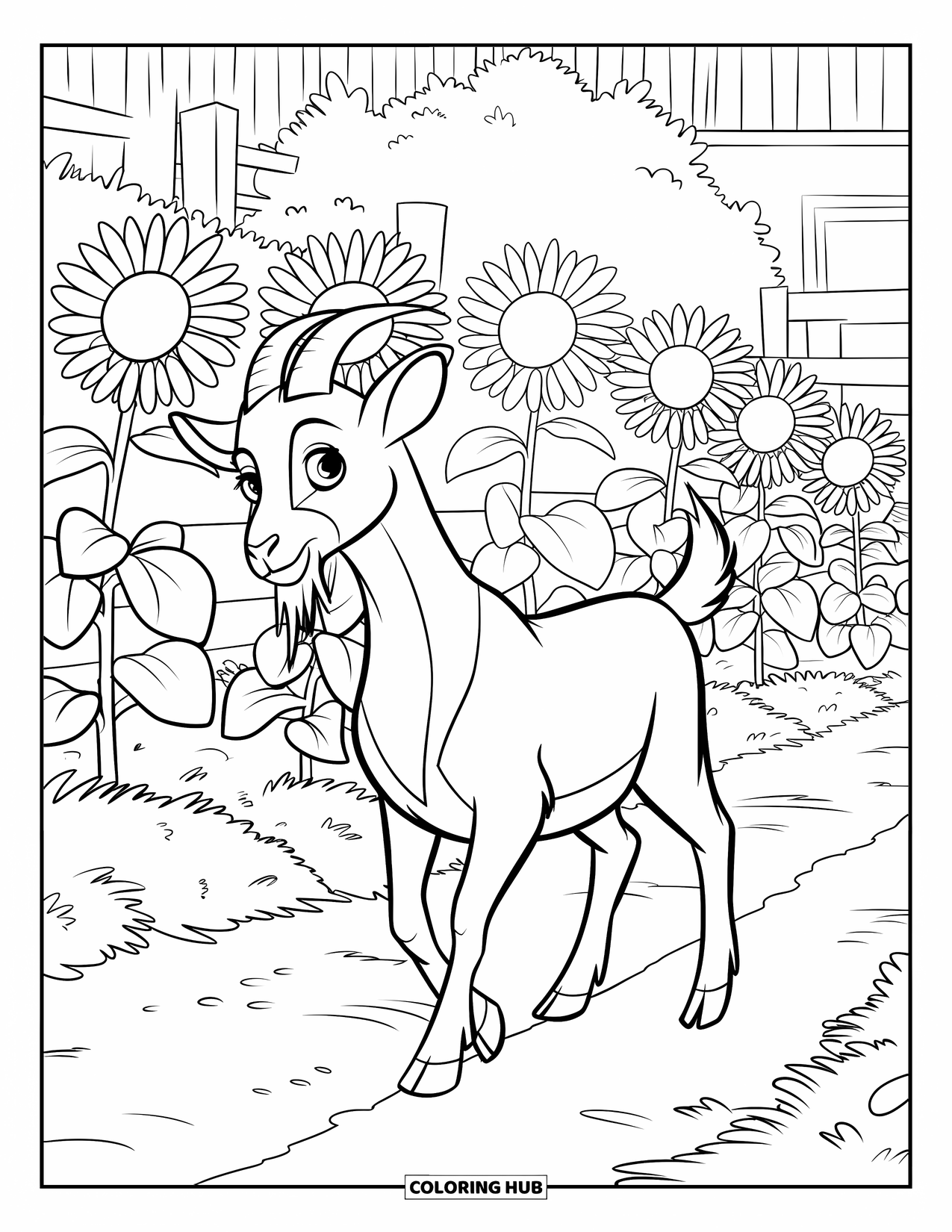 Desenho de Cabra para Colorir para Crianças: Uma cabra passeia por um caminho de terra ao lado de altos girassóis