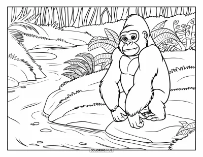 Dibujo de gorila para colorear para adultos: Un gorila en una roca disfruta de un arroyo tranquilo rodeado de musgo y árboles altos