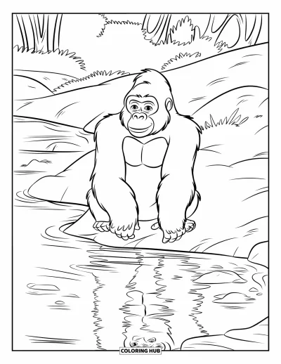 Dibujo de gorila para colorear para niños: Un gorila se relaja cerca de un arroyo donde su reflejo brilla en el agua