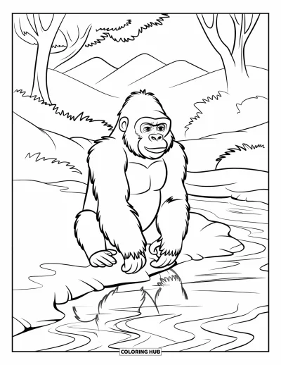 Dibujo de gorila para colorear para niños: Un gorila se sienta tranquilamente junto a un arroyo, reflejado en el agua tranquila