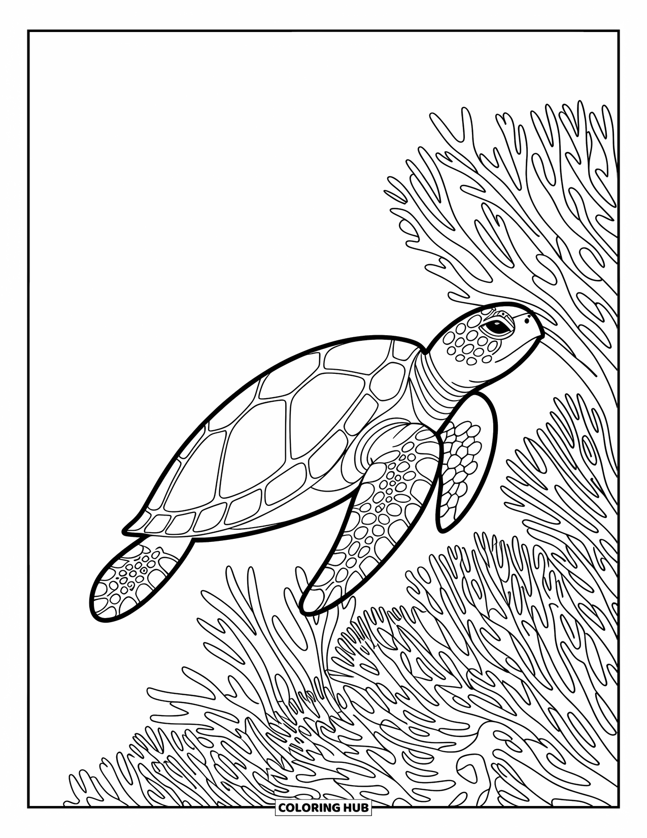 Hawaiian Coloring Page for Adults: A sea turtle swimming gracefully among intricate coral patterns