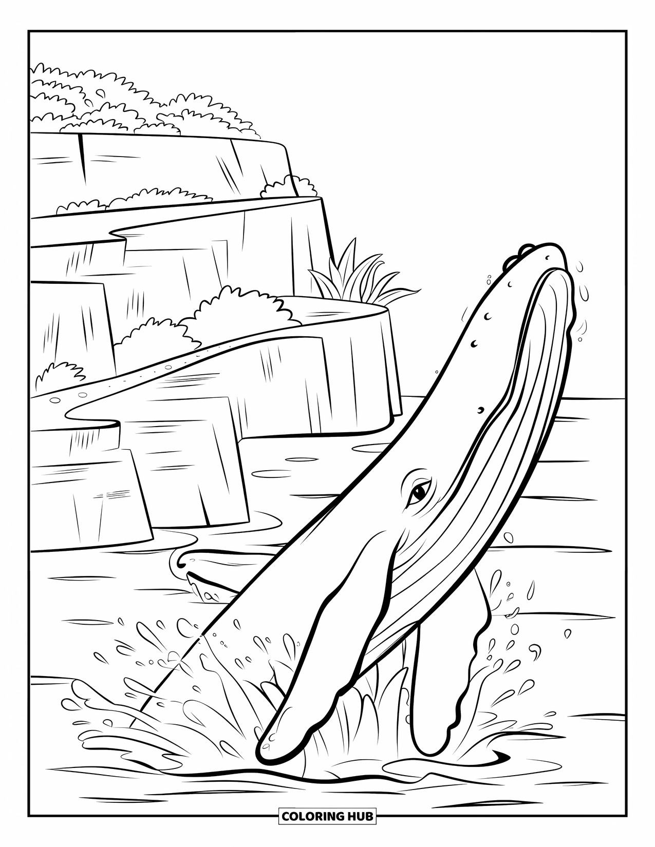 Hawaiian Coloring Page for Kids: A whale leaping by cliffs with water droplets all around