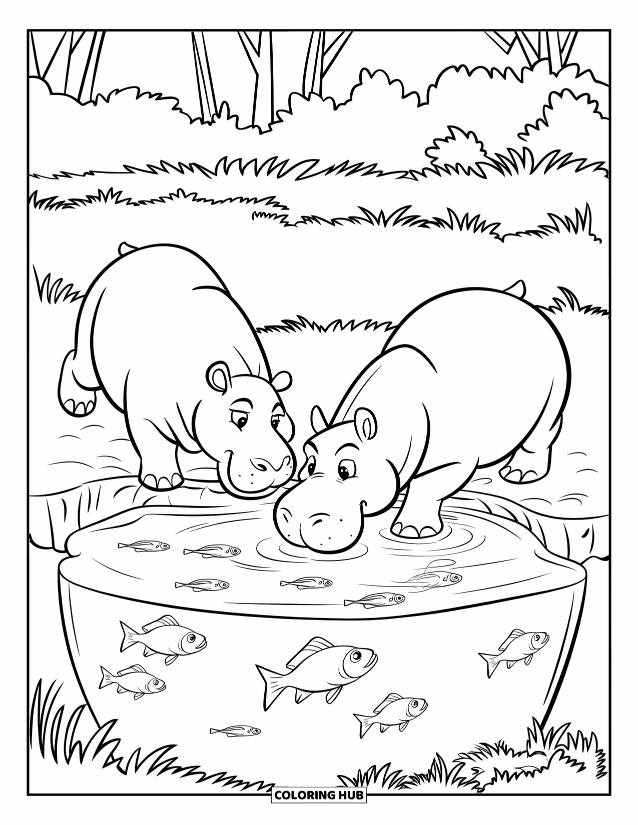 Disegno di ippopotamo da colorare per bambini: Due ippopotami giocosi sguazzano vicino alla pozza d'acqua con pesci che nuotano sotto