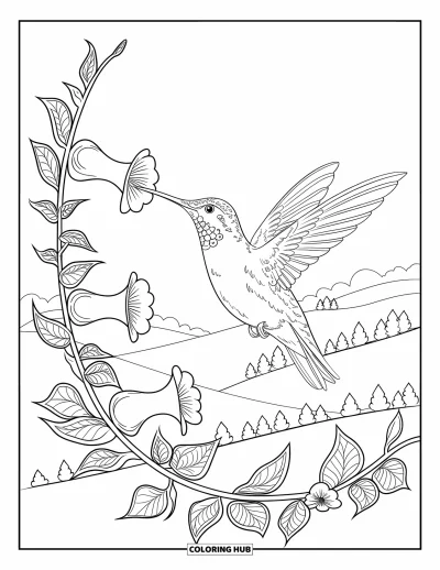 Hummingbird Coloring Page for Adults: A hummingbird sips nectar from blooming trumpet flowers on a long vine