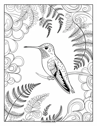 Hummingbird Coloring Page for Adults: A hummingbird sits on a branch surrounded by swirling patterns and leafy ferns