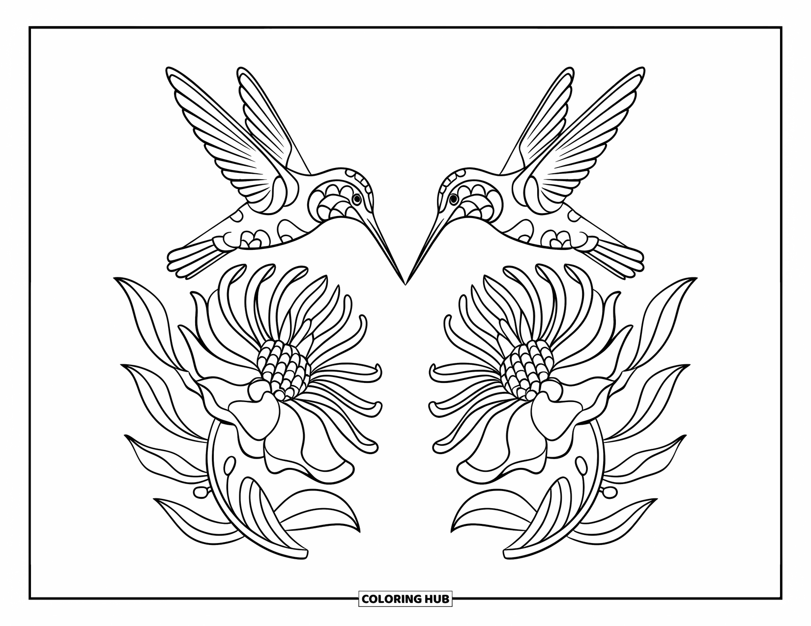 Disegno di colibrì da colorare per adulti: Un colibrì siede su un fiore in un layout simmetrico in stile specchio