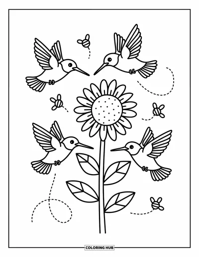 Hummingbird Coloring Page for Adults: Three hummingbirds spiral playfully around a tall, cheerful sunflower
