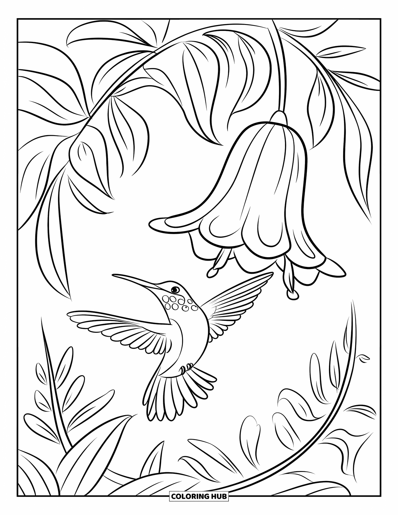 Disegno di colibrì da colorare per bambini: Un colibrì luminoso vola intorno a un fiore appeso circondato da foglie