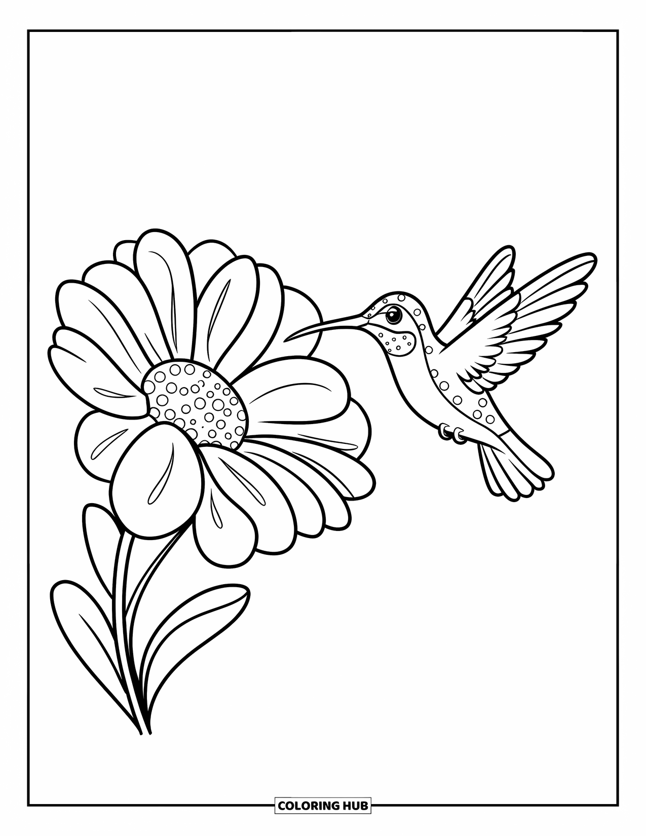 Disegno di colibrì da colorare per bambini: Un uccello allegro svolazza vicino a un fiore punteggiato con linee audaci e semplici