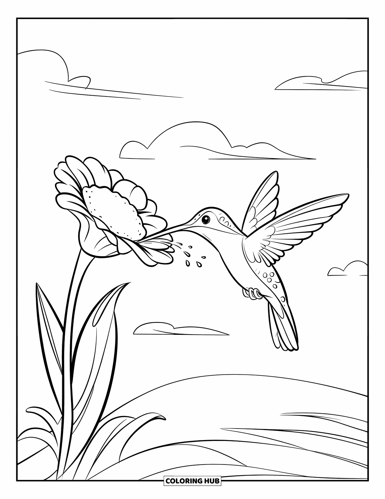 Disegno di colibrì da colorare per bambini: Un colibrì colorato volteggia sopra un grande fiore con nuvole nel cielo