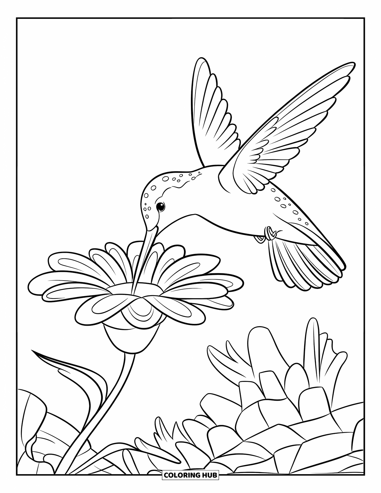 Disegno di colibrì da colorare per bambini: Un colibrì beve da un grande fiore con un cielo sereno sopra