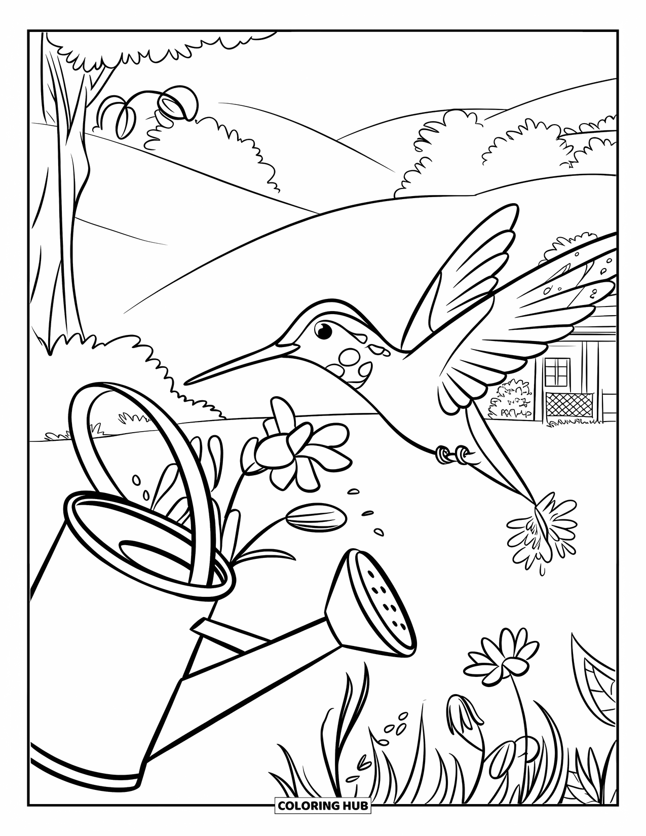 Disegno di colibrì da colorare per bambini: Un colibrì vola vicino a un annaffiatoio in un giardino tranquillo