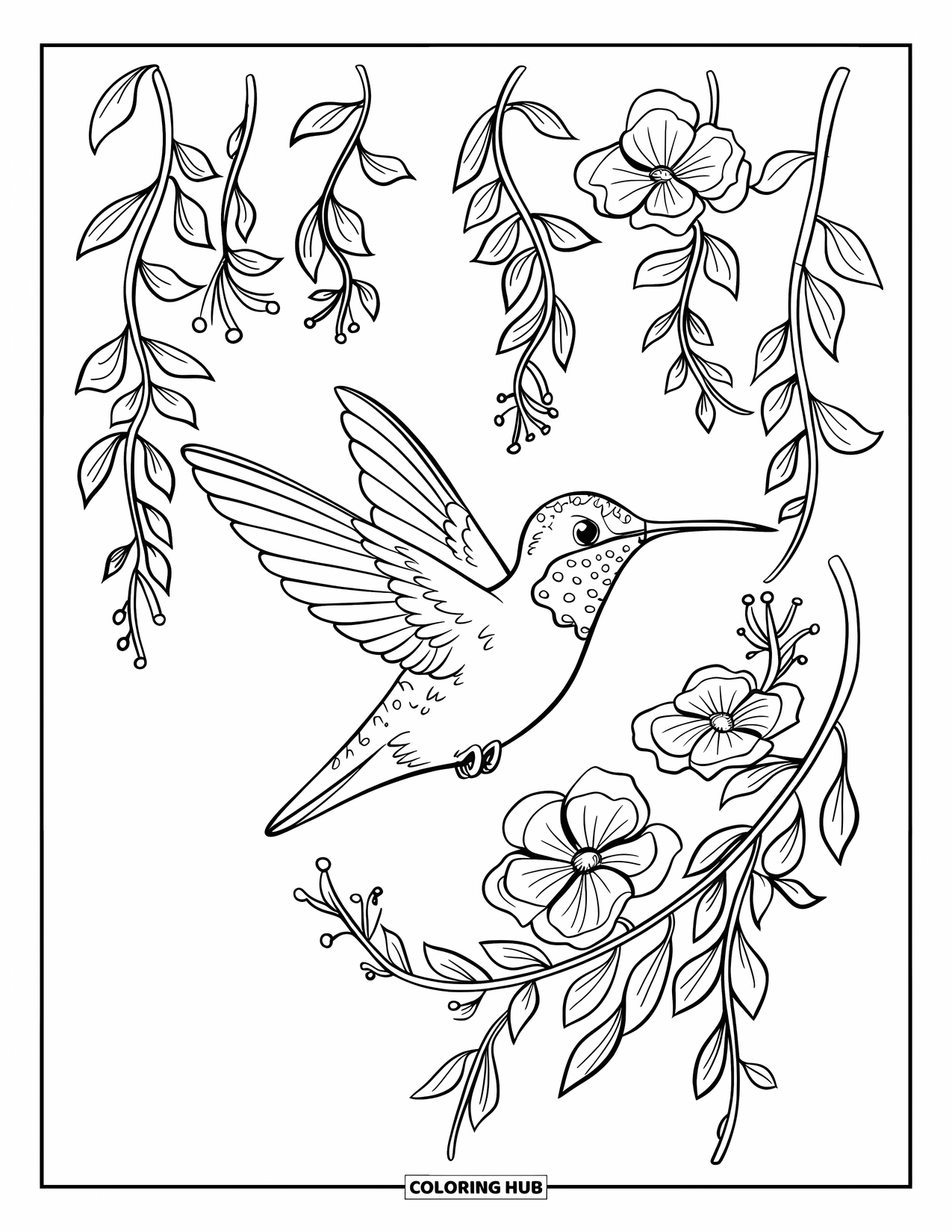 Disegno di colibrì da colorare per bambini: Un colibrì vola con le ali distese tra una cascata di graziosi fiori