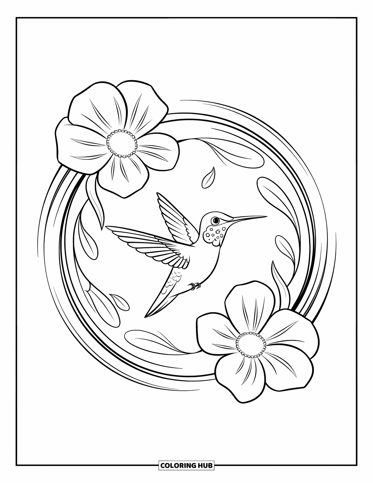 Disegno di colibrì da colorare per bambini: Un colibrì scivola attraverso un cerchio floreale con linee ariose che danzano intorno