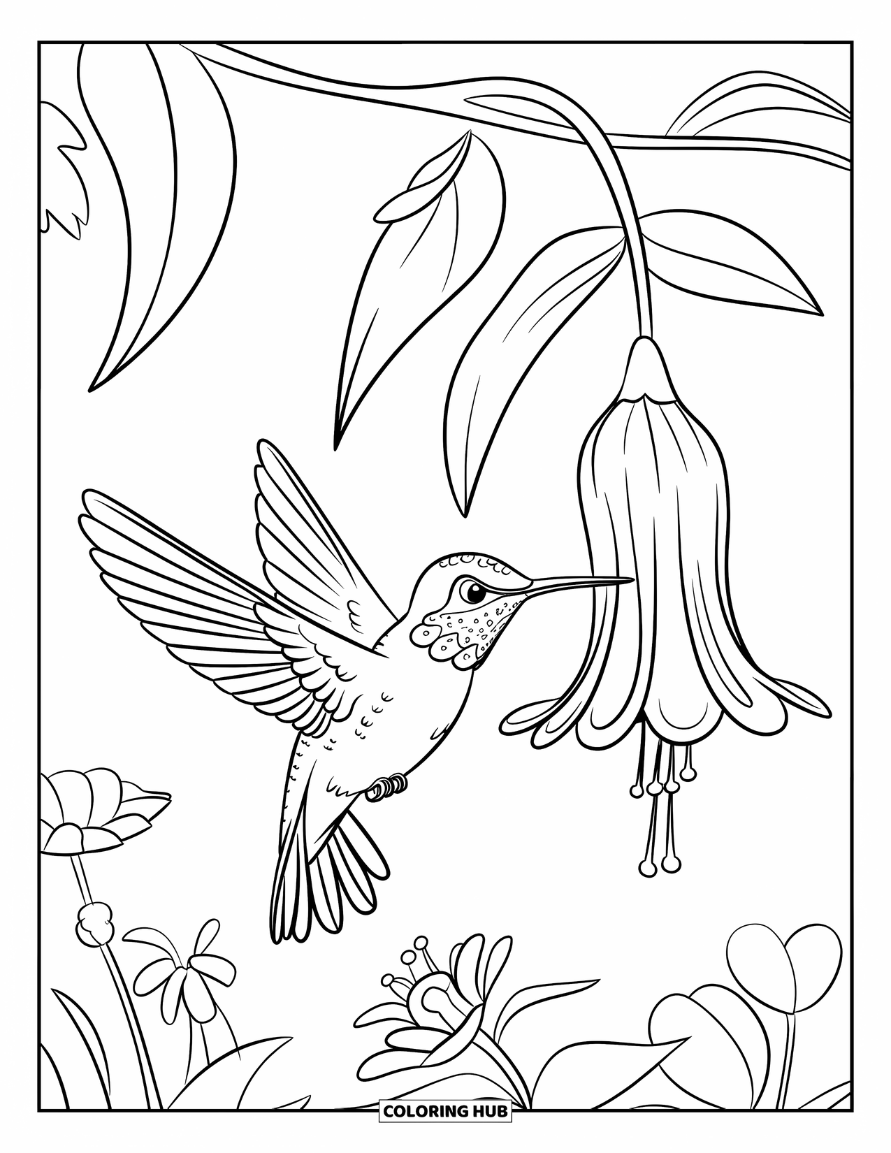 Disegno di colibrì da colorare per bambini: Un colibrì volteggia vicino a un fiore, con le ali spiegate e il becco pronto