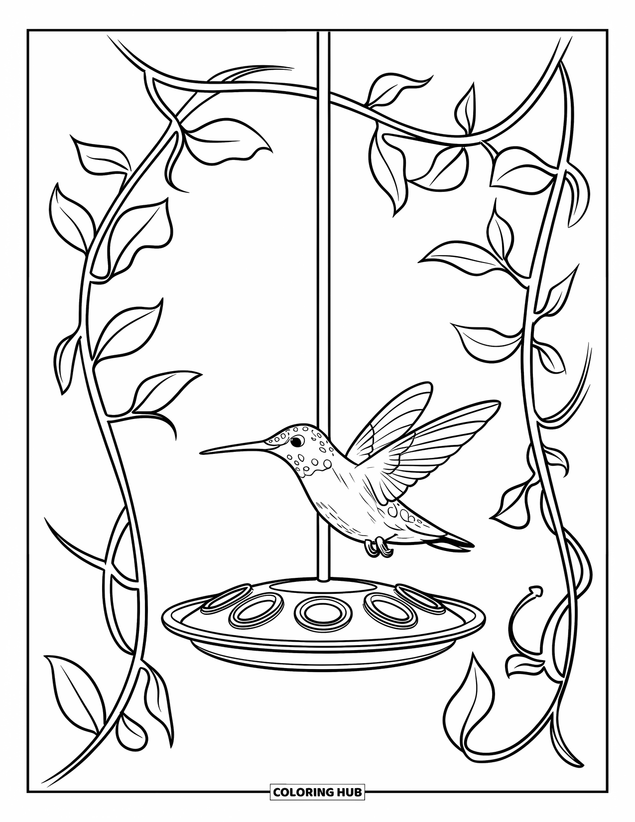 Disegno di colibrì da colorare per bambini: Un colibrì volteggia vicino a una mangiatoia di vetro appesa e avvolta in viticci frondosi