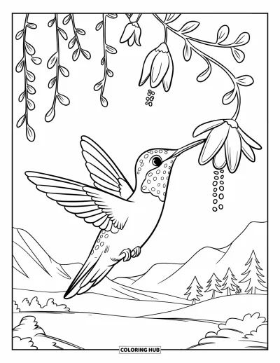 Hummingbird Coloring Page for Kids: A hummingbird perches on a branch and drinks from hanging flowers