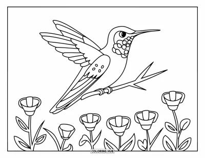 Hummingbird Coloring Page for Kids: A hummingbird perches quietly on a twig above wildflowers and open space