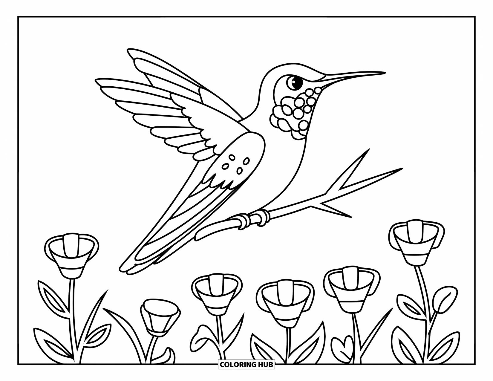 Disegno di colibrì da colorare per bambini: Un colibrì si appollaia tranquillamente su un ramoscello sopra fiori di campo e spazio aperto