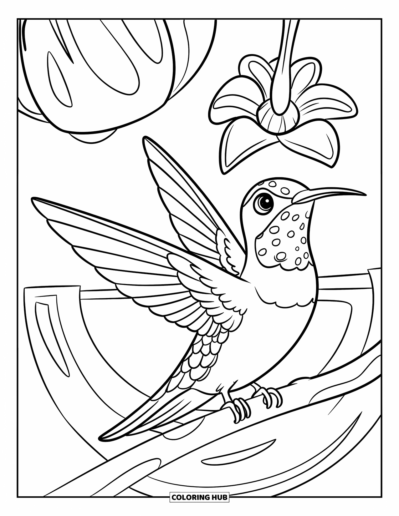 Disegno di colibrì da colorare per bambini: Un colibrì si riposa su un ramo con un piccolo fiore sopra