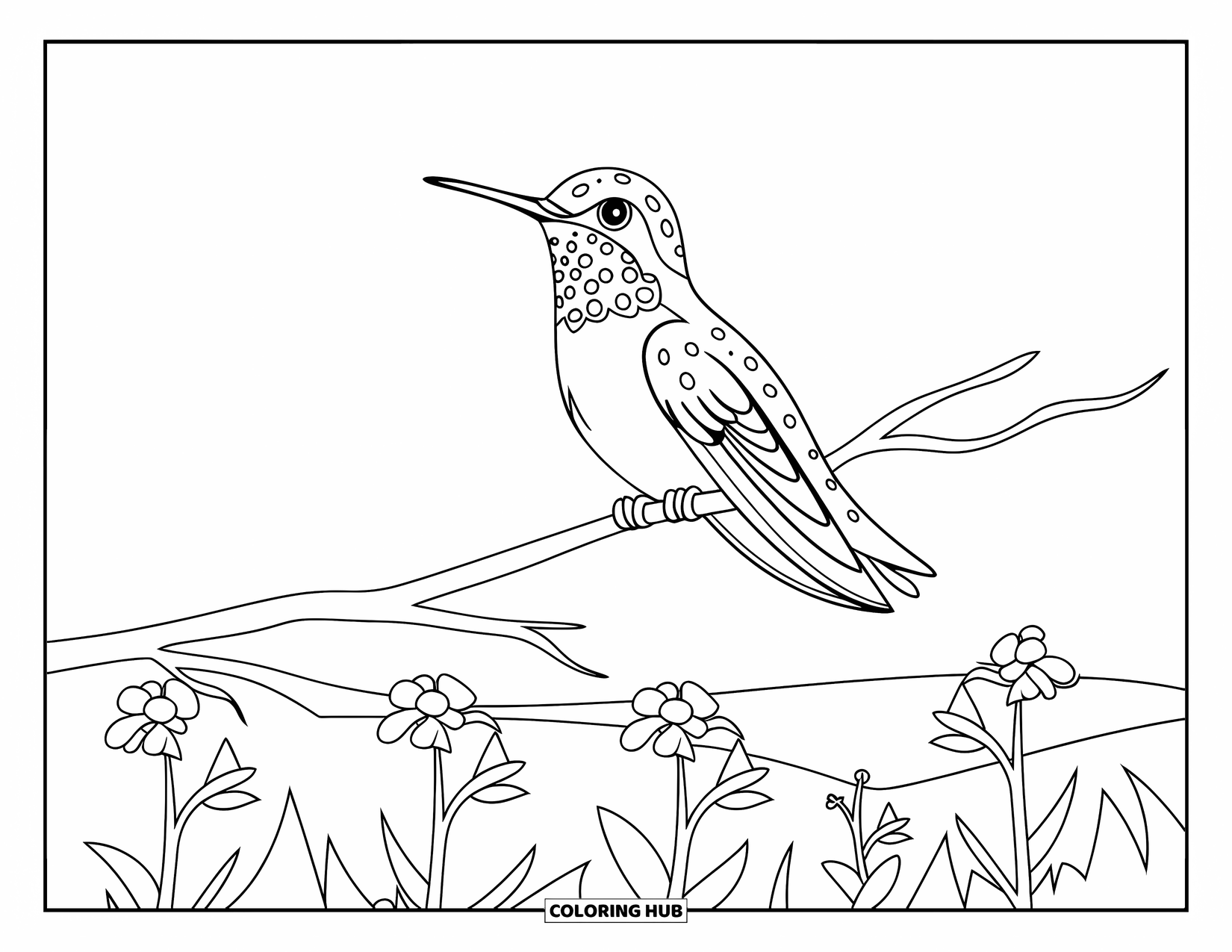Disegno di colibrì da colorare per bambini: Un colibrì si riposa su un ramoscello sopra una distesa di dolci fiorellini di campo