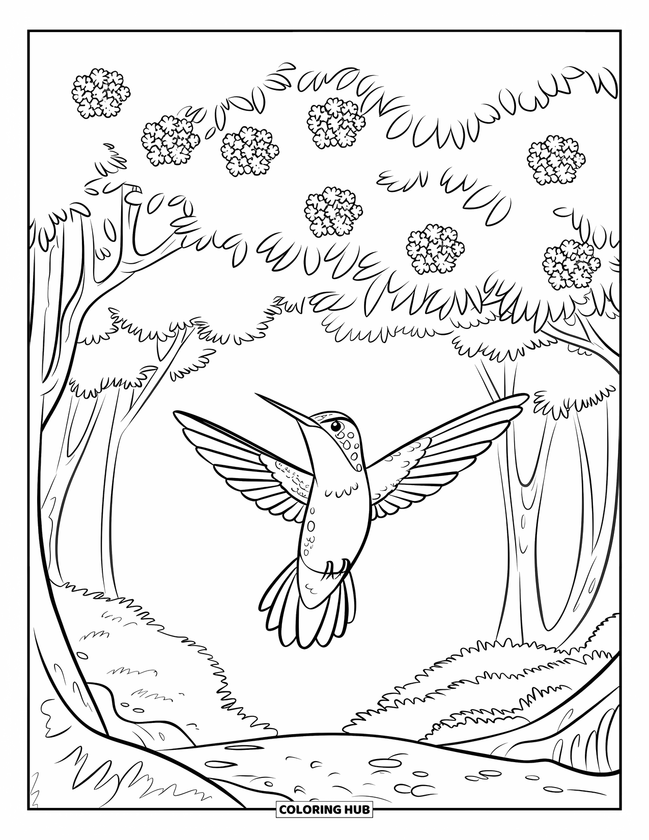Disegno di colibrì da colorare per bambini: Un colibrì con le ali aperte vola sotto grandi foglie di foresta e fiori sparsi