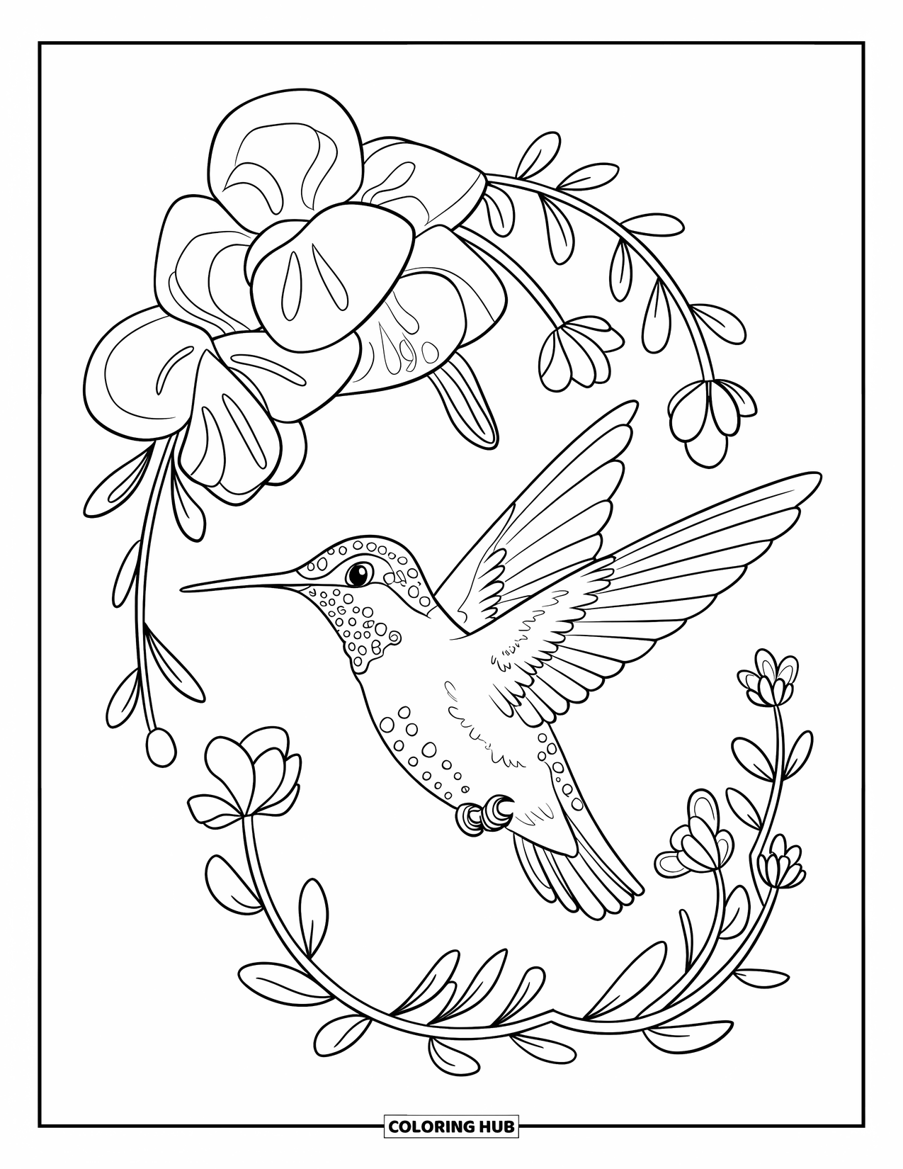 Disegno di colibrì da colorare per bambini: Un uccellino galleggia a mezz'aria, con le ali aperte, con fiori che scorrono tutt'intorno