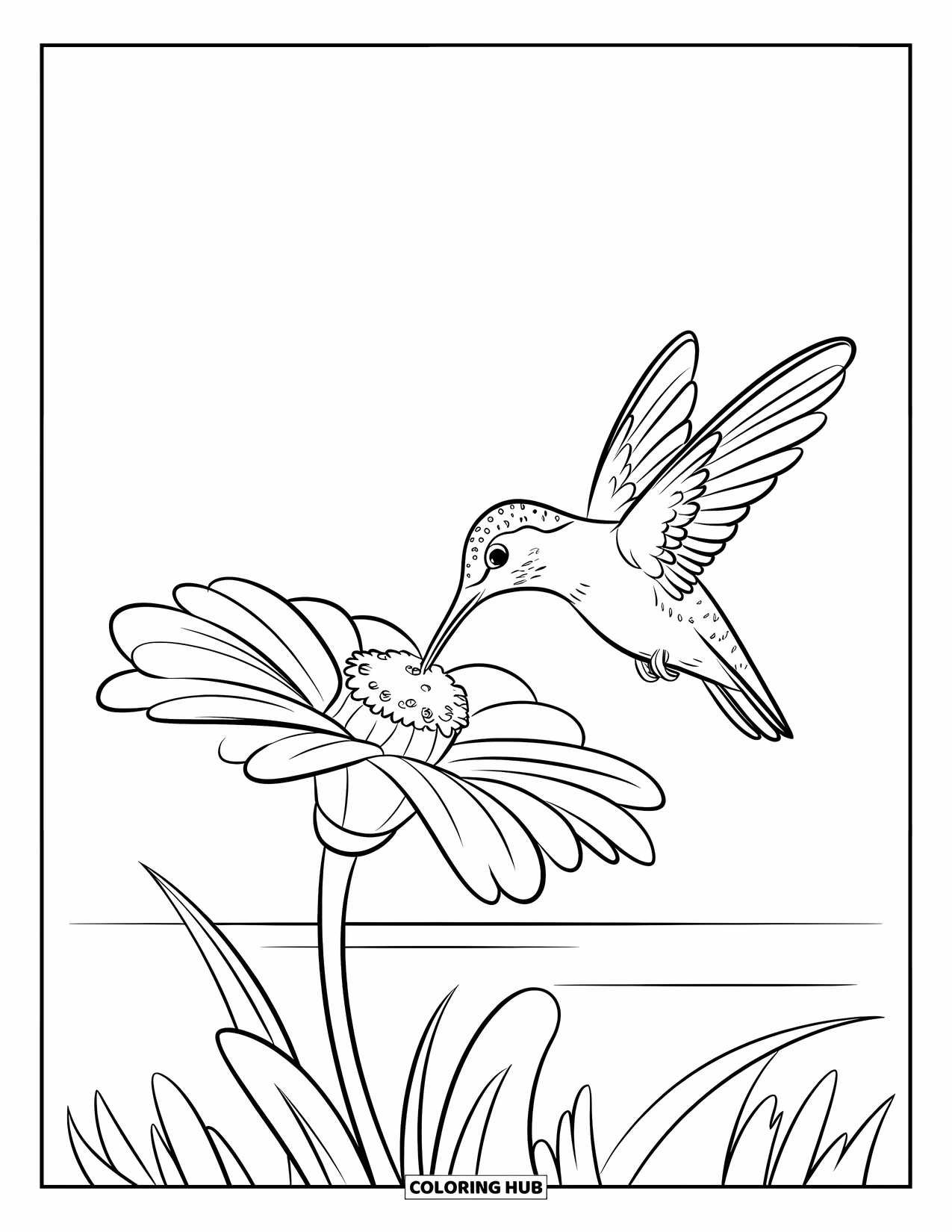 Disegno di colibrì da colorare per bambini: Un uccellino sorseggia il nettare da un grande fiore sotto un cielo sereno