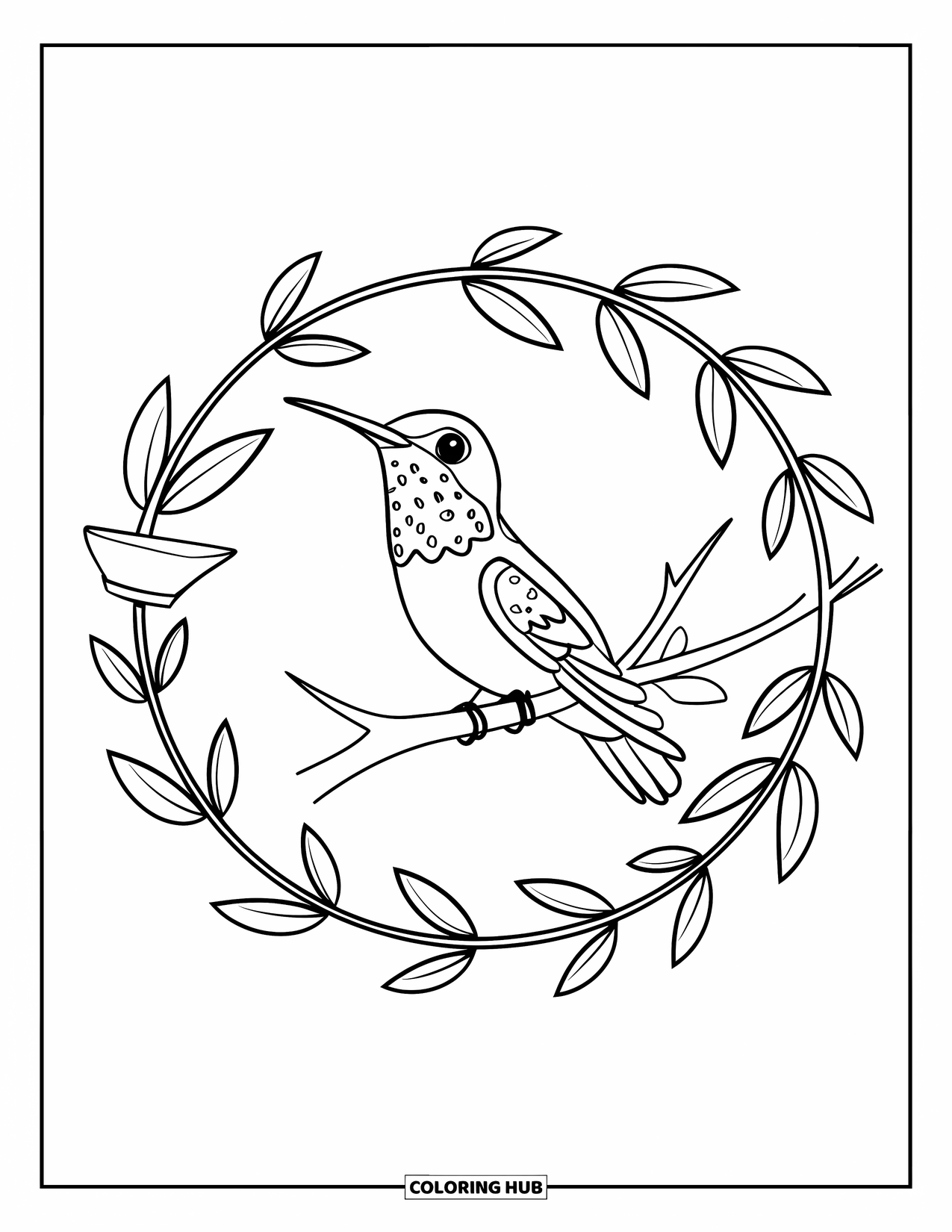 Disegno di colibrì da colorare per bambini: Un colibrì dalla gola rossa si appollaia su un ramo all'interno di una cornice circolare di foglie