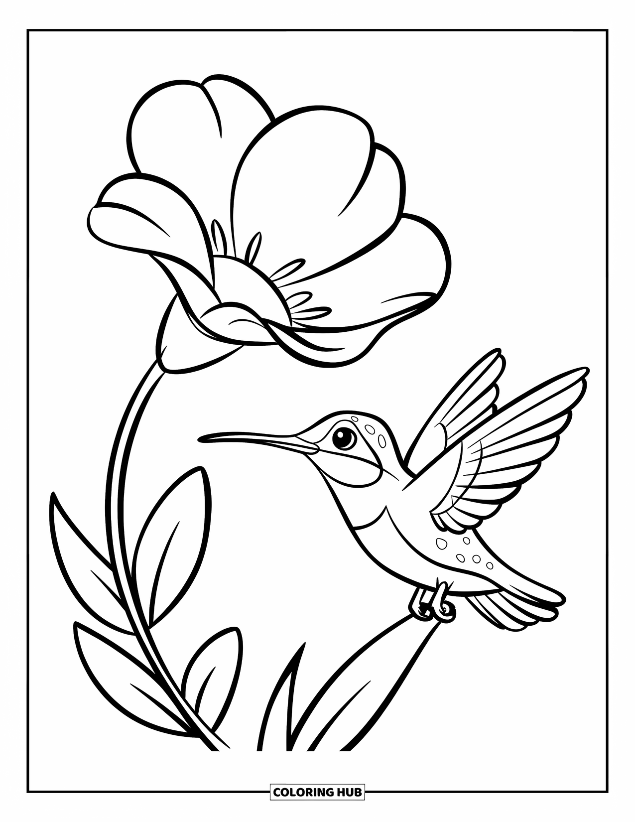 Disegno di colibrì da colorare per bambini: Un dolce colibrì si appollaia accanto a un grande fiore con forme morbide e arrotondate