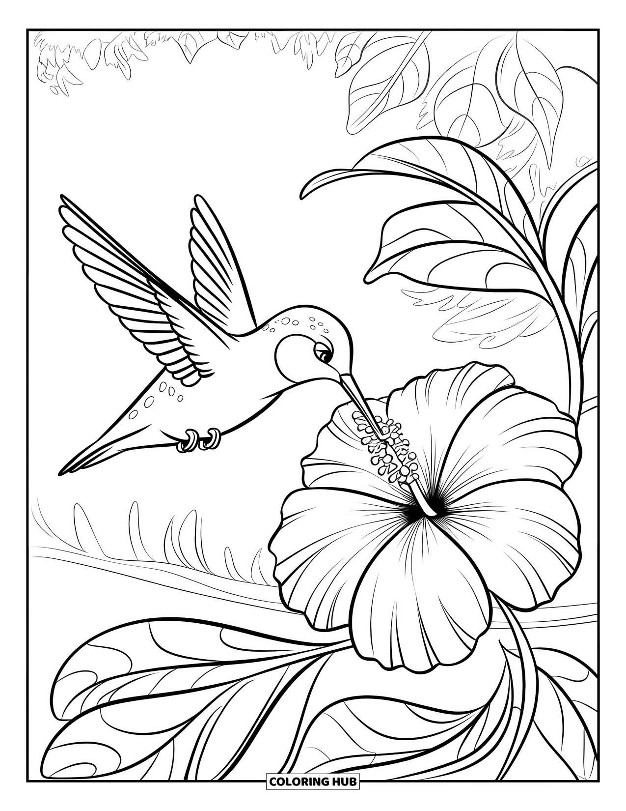 Disegno di colibrì da colorare per bambini: Un piccolo uccello beve delicatamente da un ibisco mentre è appollaiato vicino al verde della foresta