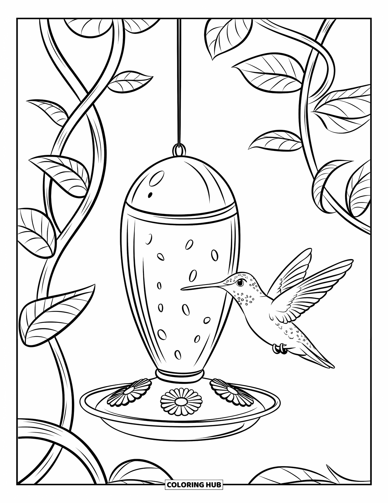 Disegno di colibrì da colorare per bambini: Un piccolo uccello volteggia vicino a una mangiatoia con viticci tortuosi e foglie larghe