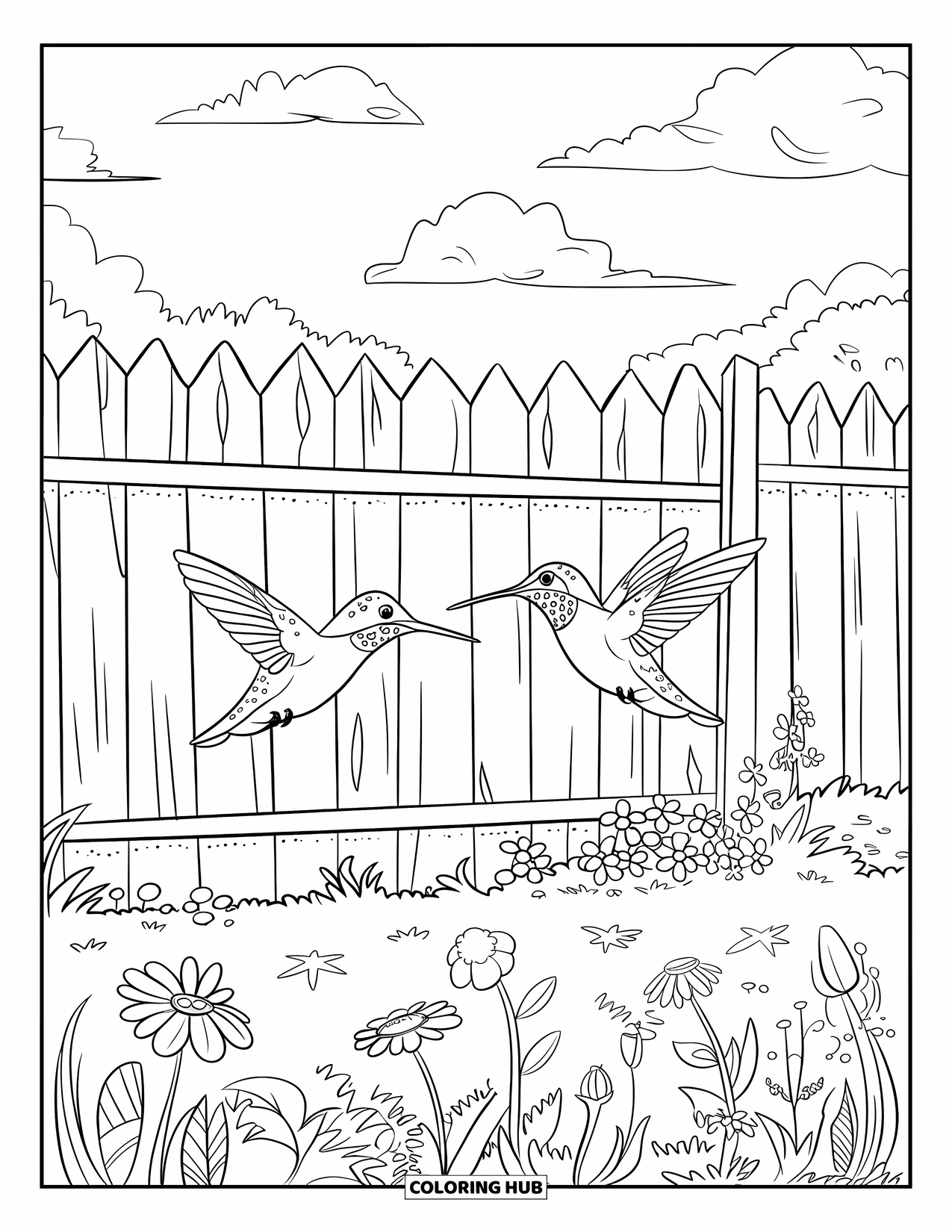 Disegno di colibrì da colorare per bambini: Colibrì esplorano una recinzione da giardino fiorita sotto un cielo luminoso