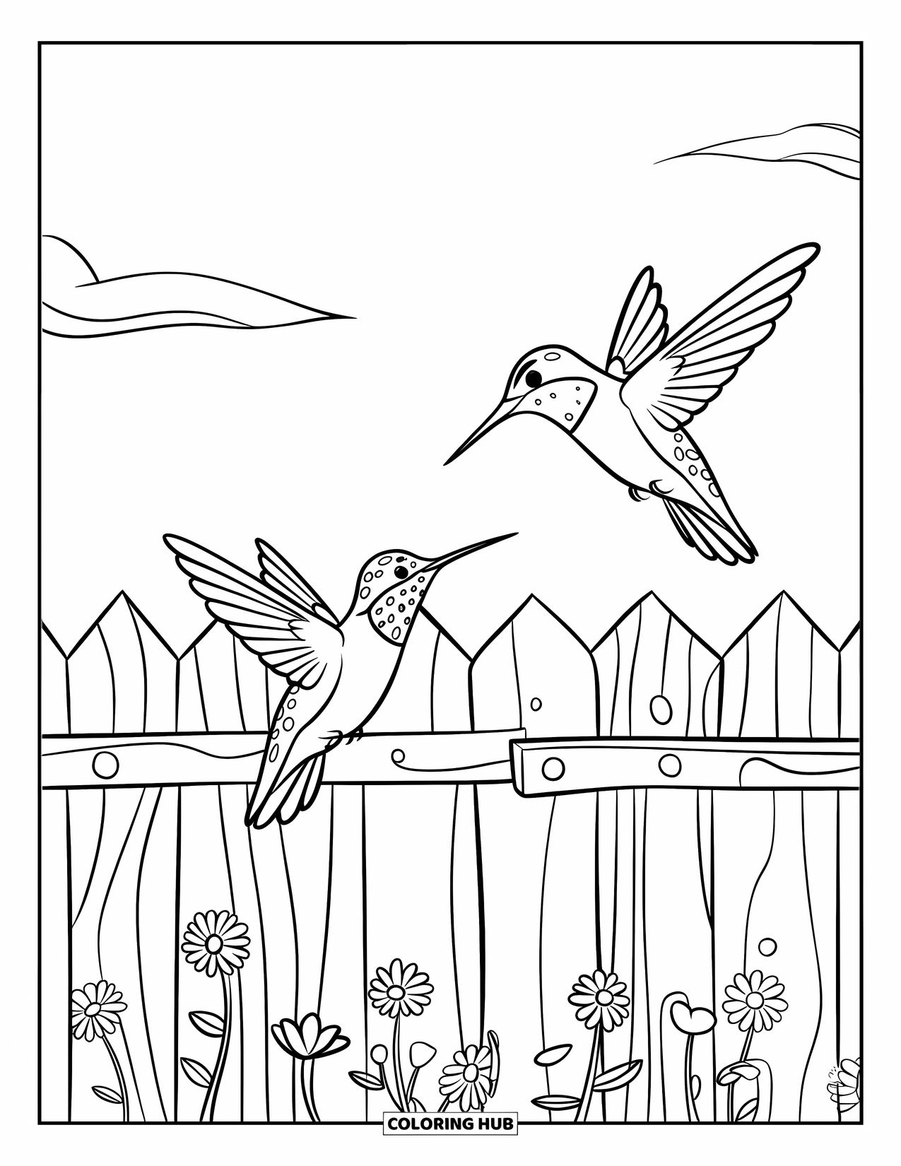 Disegno di colibrì da colorare per bambini: Colibrì svolazzano intorno a una recinzione da giardino costellata di fiori