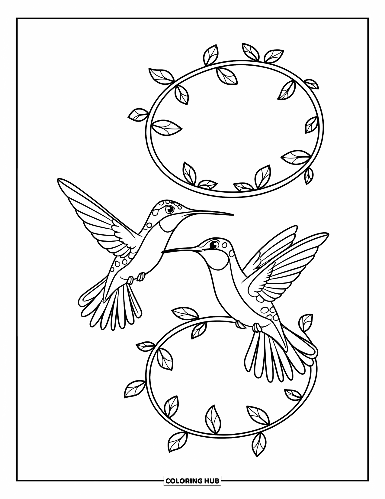 Disegno di colibrì da colorare per bambini: Colibrì turbinano intorno a un viticcio a spirale con ali eleganti e becchi appuntiti