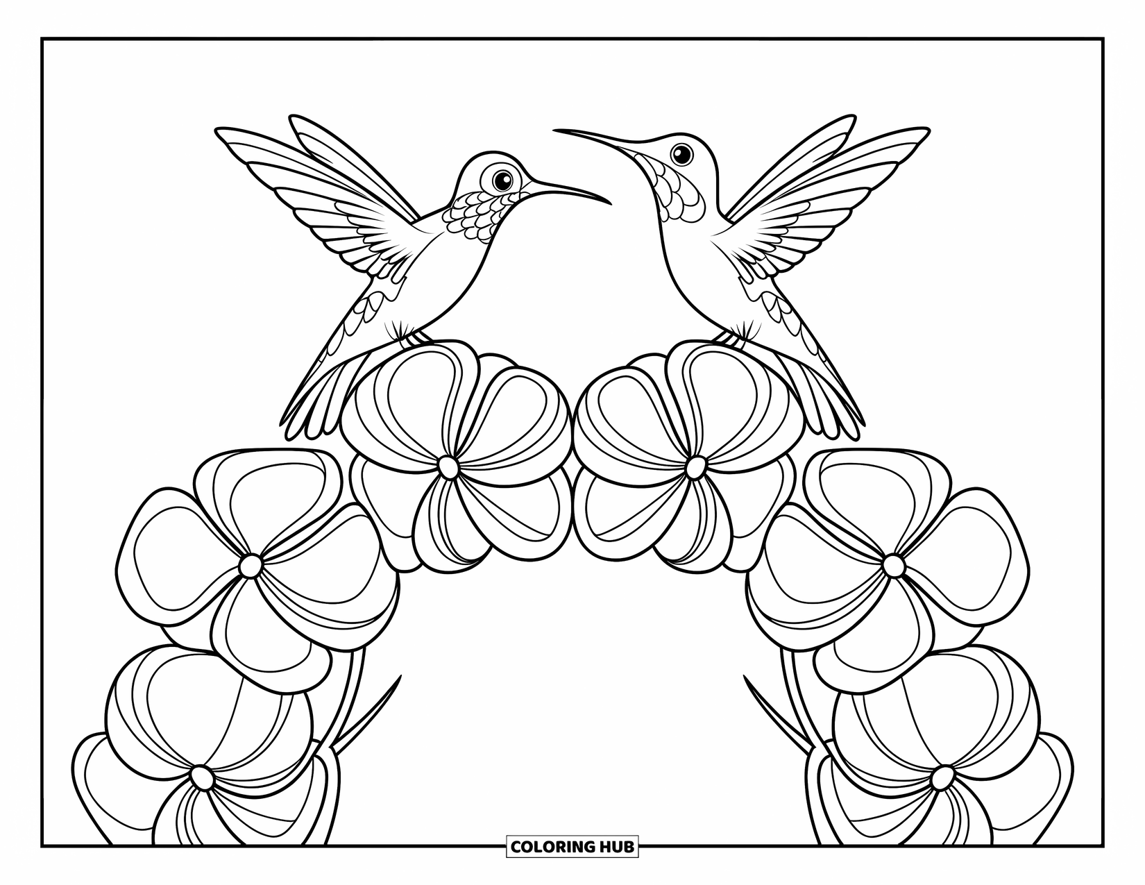 Disegno di colibrì da colorare per bambini: Due colibrì si fronteggiano sopra un arco floreale di petali rotondi e fioriti