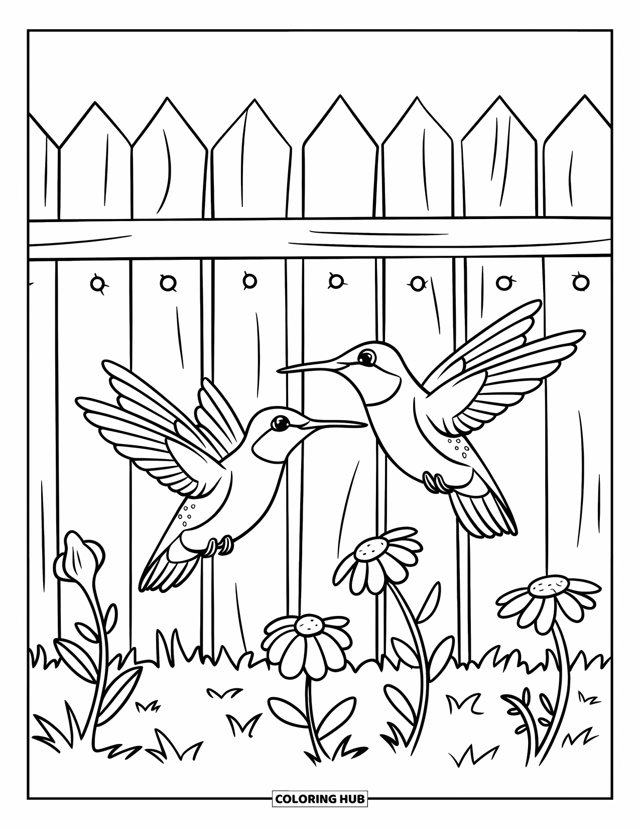Disegno di colibrì da colorare per bambini: Due colibrì volano vicino a una recinzione rustica ricoperta di fiori