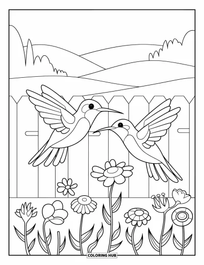 Hummingbird Coloring Page for Kids: Two hummingbirds fly near a wooden fence lined with flowers