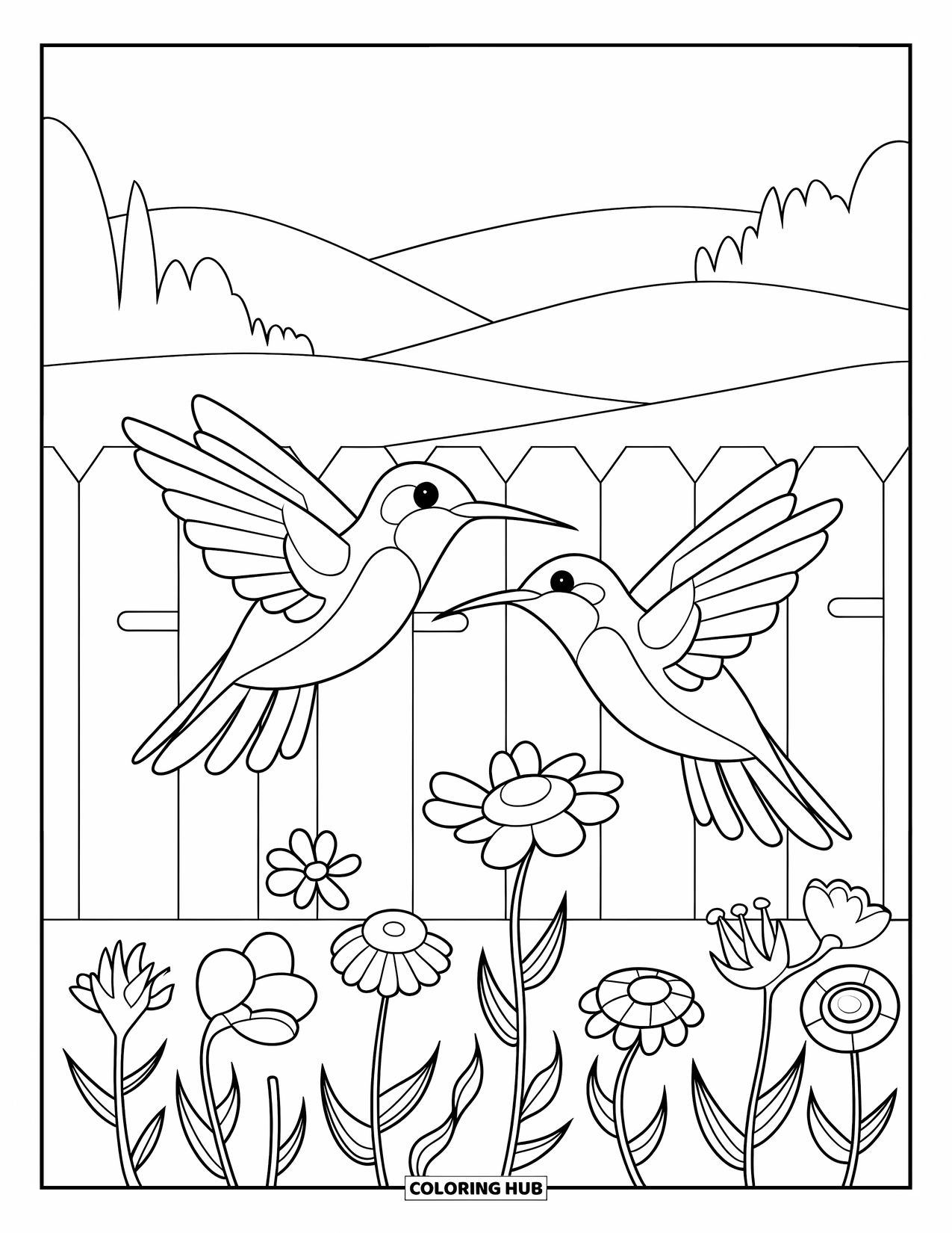 Disegno di colibrì da colorare per bambini: Due colibrì volano vicino a una recinzione di legno fiancheggiata da fiori