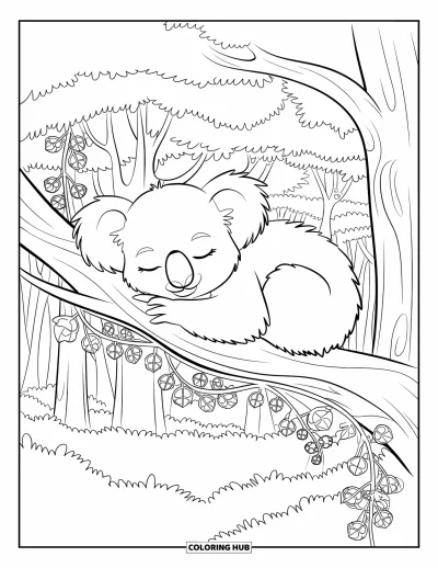 Coloriage de koalas pour adultes : Un koala endormi se recroqueville sur une branche, entouré de lianes élégantes et de fleurs en pleine floraison