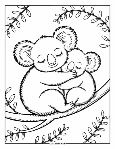 Coloriage de koalas pour adultes : Un koala somnolent se blottit contre un autre, assoupi paisiblement sur une branche d’eucalyptus courbée