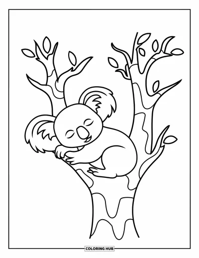Coloriage de koalas pour enfants : Un koala endormi dort sur une branche d’arbre, bien enveloppé dans une couverture rayée