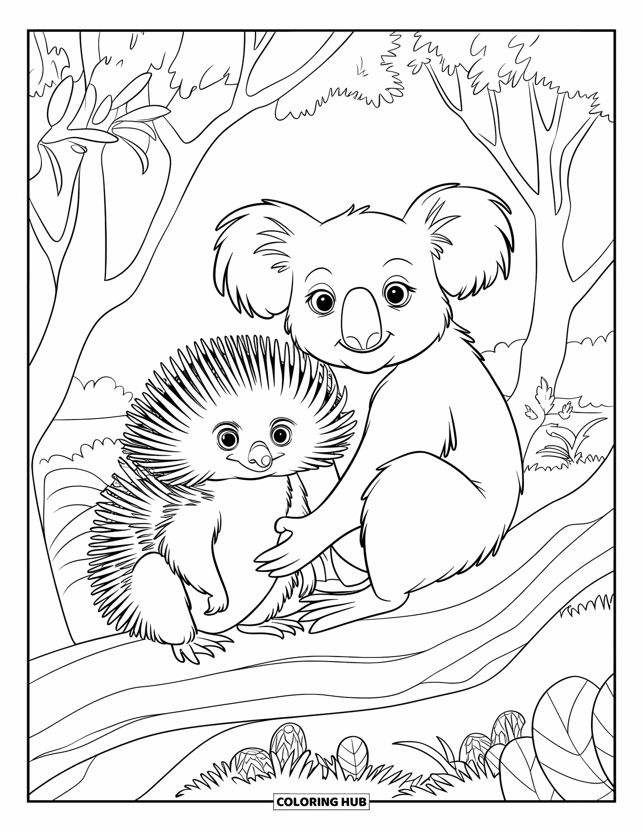 Koala Kleurplaat voor Kinderen: Een koala en een mierenegel ontspannen zich in een rustige wildernis, omringd door inheemse planten