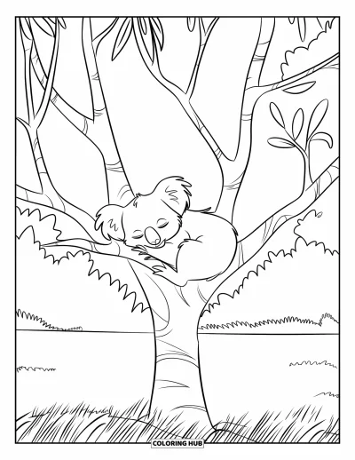 Coloriage de koalas pour enfants : Un koala endormi fait la sieste sur une branche, reposant paisiblement au-dessus d’un champ verdoyant