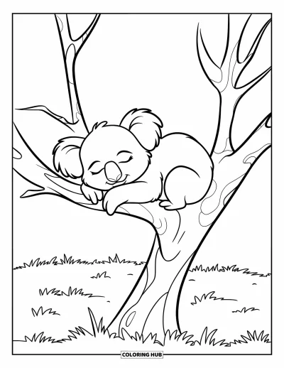 Coloriage de koalas pour enfants : Un koala assoupi se recroqueville sur une branche robuste, profitant d’une brise paisible